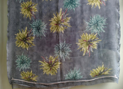 Misty Garden, Saree to Bohemian Dress